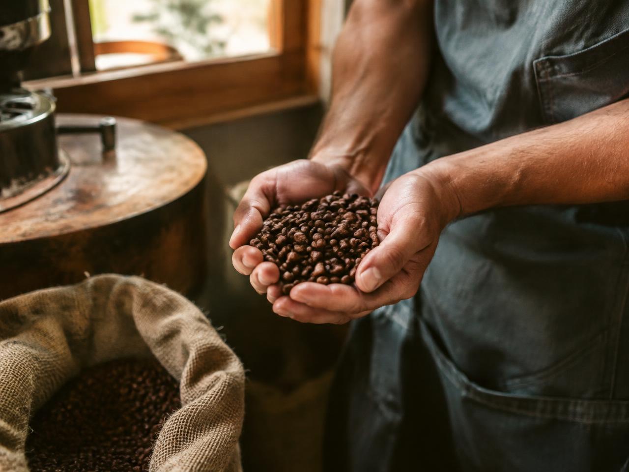 A roaster holding freshly roasted beans
